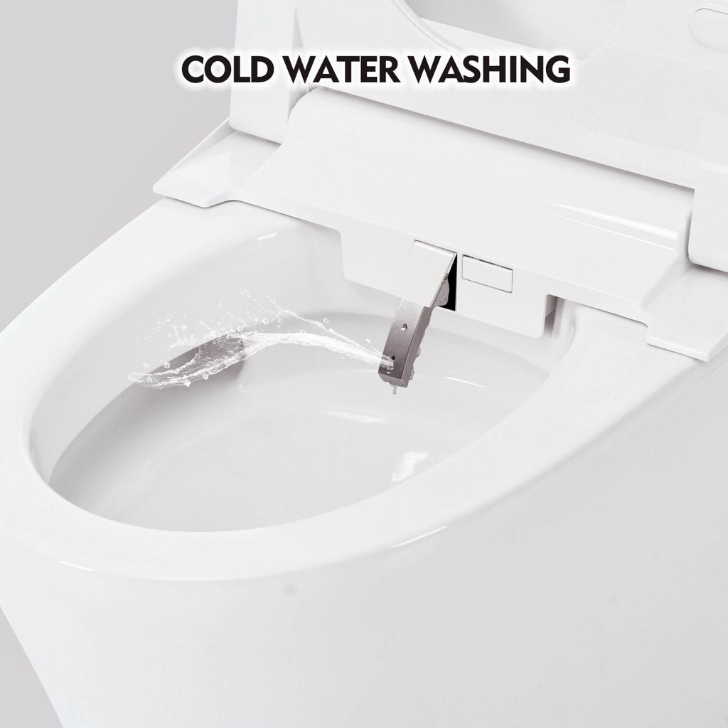 Nuvia 1/1.28 GPF Smart Compact Dual Flush Tankless Toilet Bidet Combo With Self-Cleaning Nozzle And Foot Sensor Flush (SAK58021)