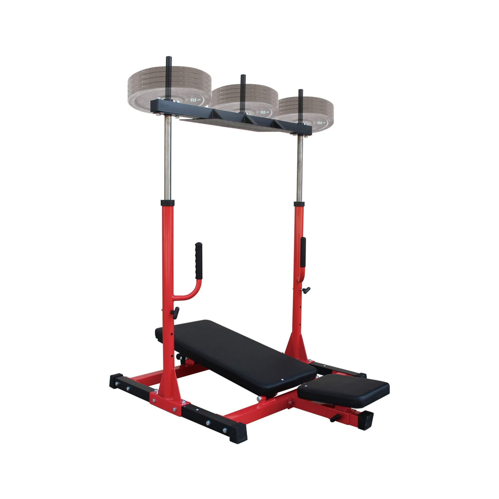 Rovix Premium Vertical Leg Press Machine With Adjustable Back And Head Rests For Home Gyms, 660LBS (SAK34819)